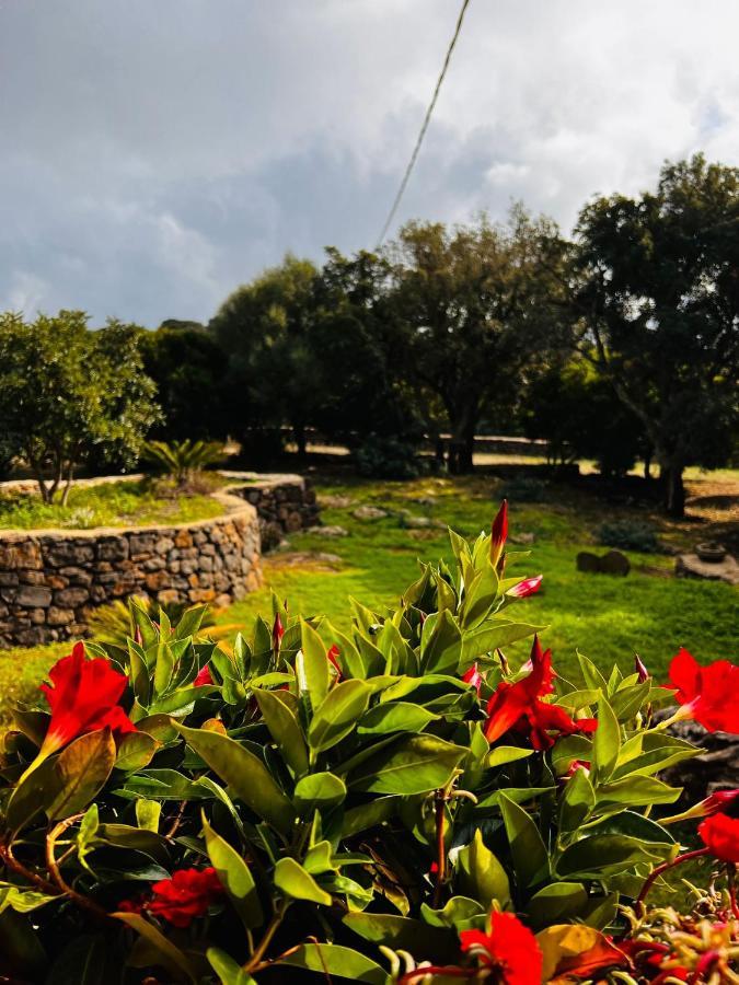 Agriturismo Conca' E Janas Dorgali Zewnętrze zdjęcie