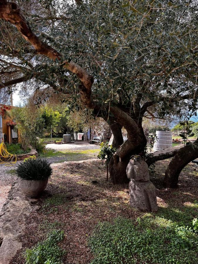 Agriturismo Conca' E Janas Dorgali Zewnętrze zdjęcie