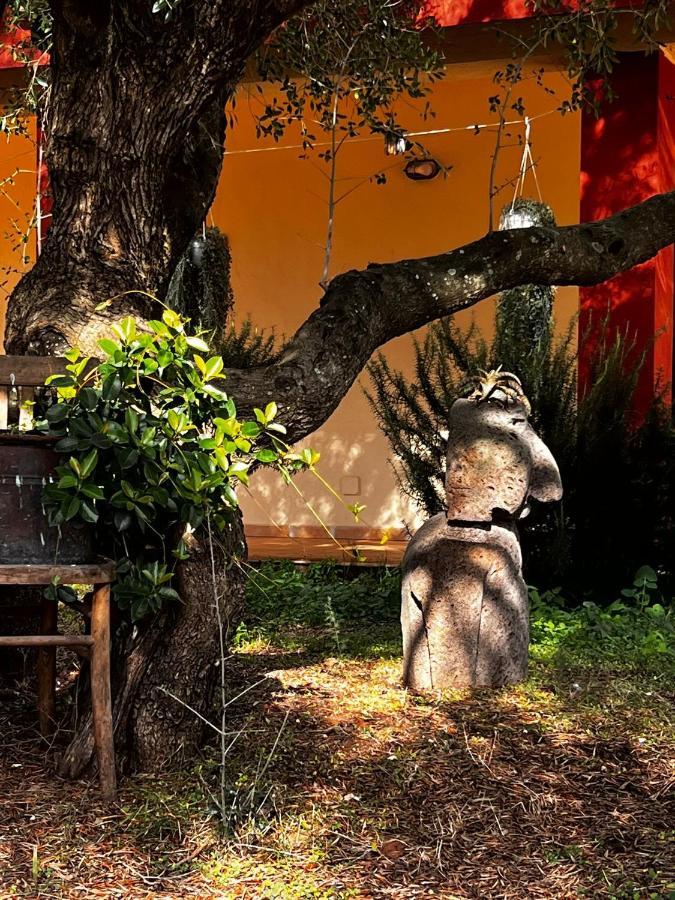 Agriturismo Conca' E Janas Dorgali Zewnętrze zdjęcie
