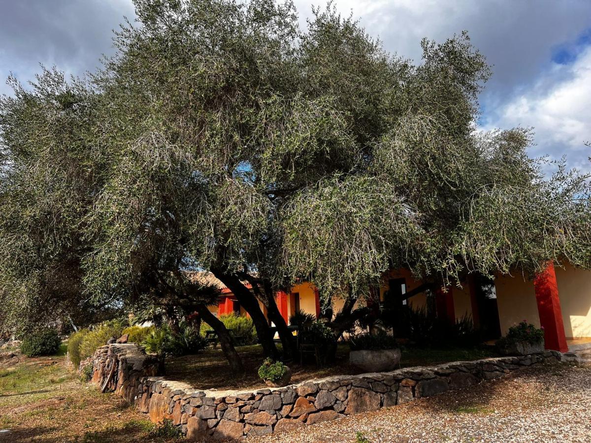 Agriturismo Conca' E Janas Dorgali Zewnętrze zdjęcie