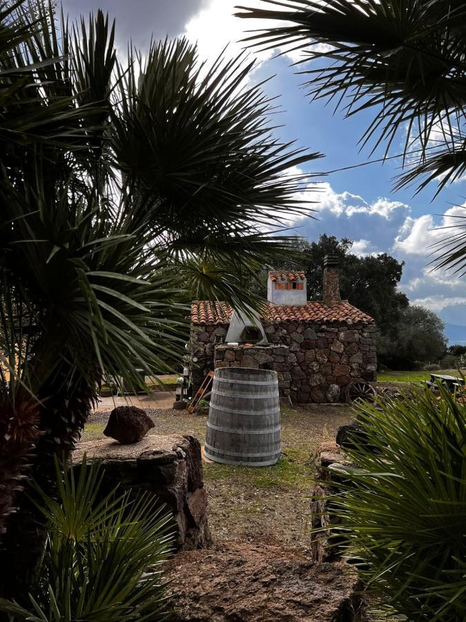 Agriturismo Conca' E Janas Dorgali Zewnętrze zdjęcie