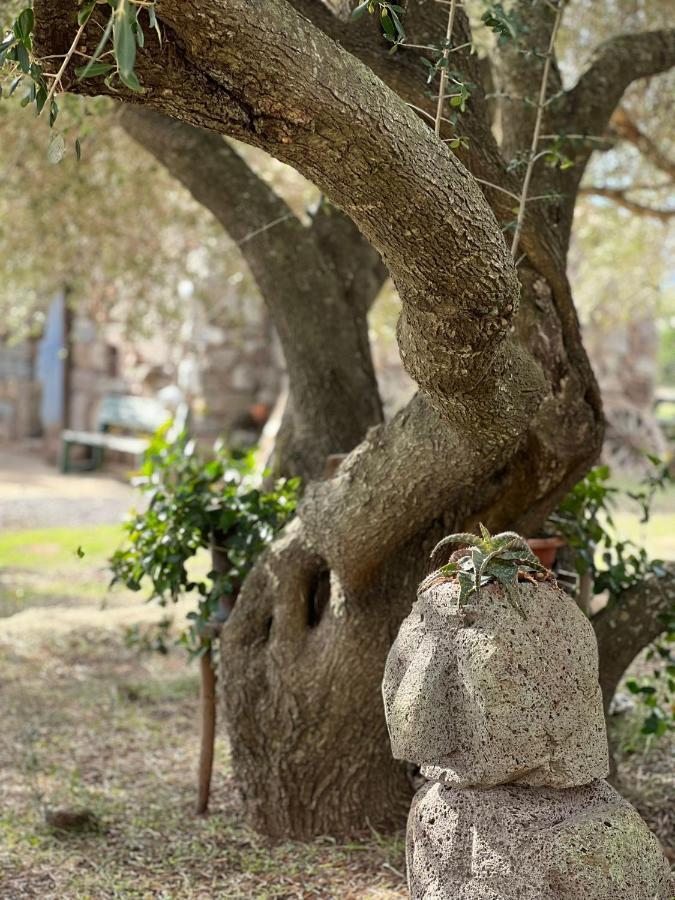 Agriturismo Conca' E Janas Dorgali Zewnętrze zdjęcie