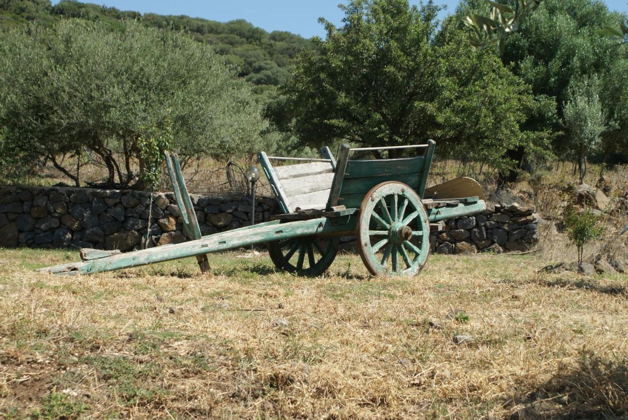 Agriturismo Conca' E Janas Dorgali Zewnętrze zdjęcie