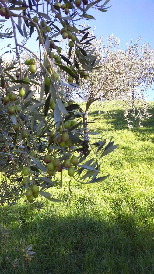 Agriturismo Conca' E Janas Dorgali Zewnętrze zdjęcie