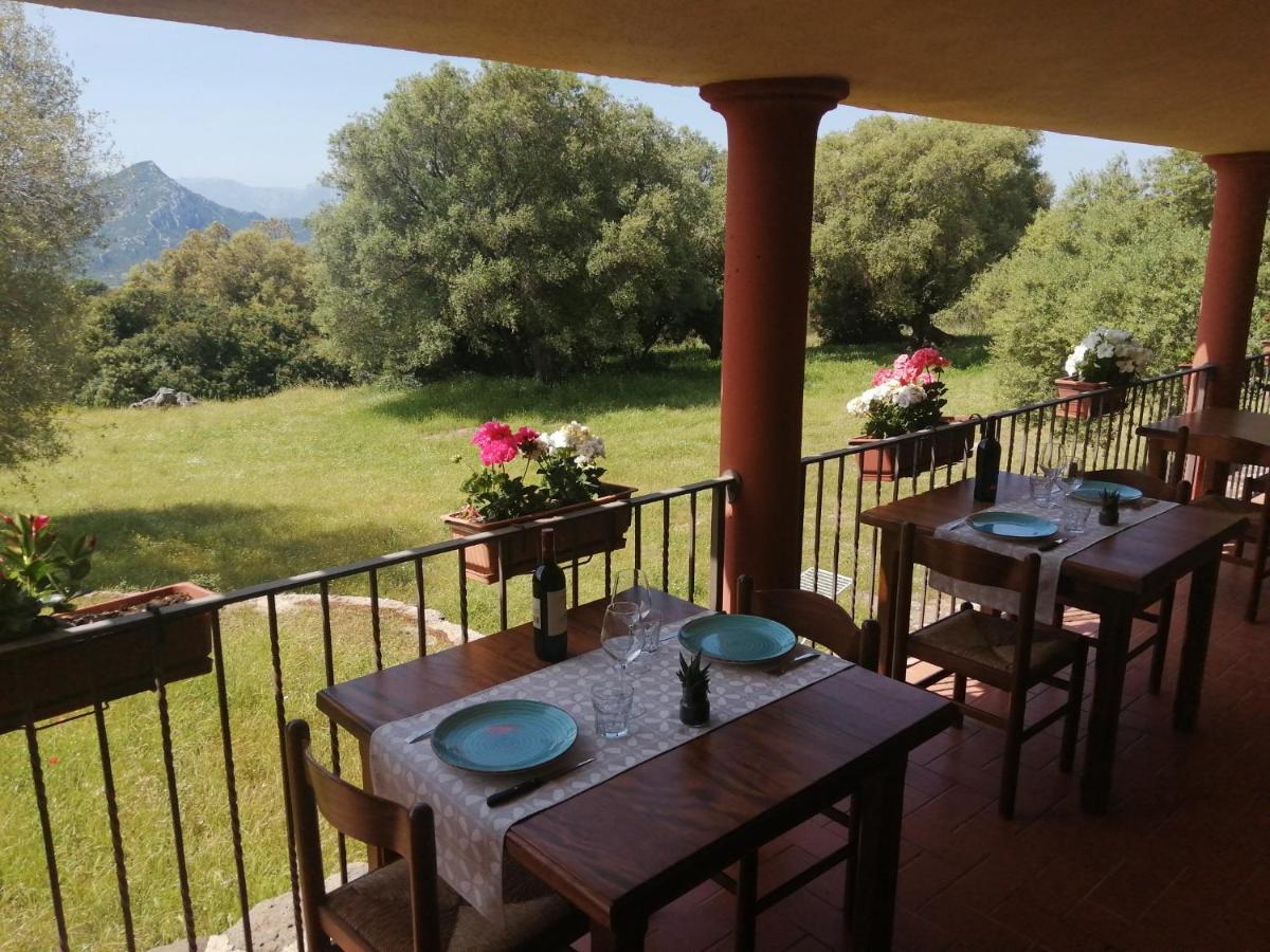 Agriturismo Conca' E Janas Dorgali Zewnętrze zdjęcie