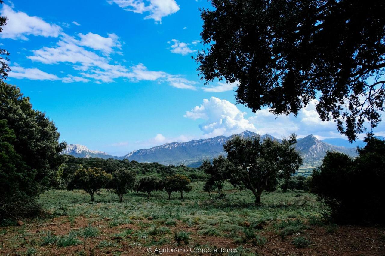 Agriturismo Conca' E Janas Dorgali Zewnętrze zdjęcie